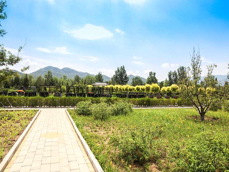 中华永久陵园距离北京近吗（中华永久陵园位置）
